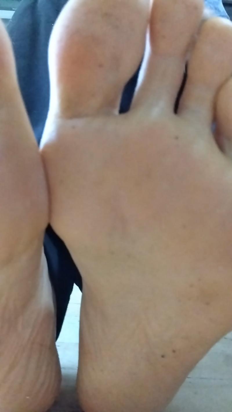 出品者名-写真-1